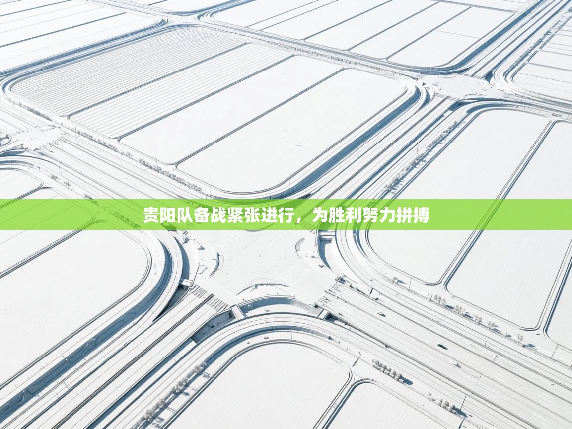 爱游戏体育娱乐马竞赞助商-贵阳队备战紧张进行，为胜利努力拼搏  第1张