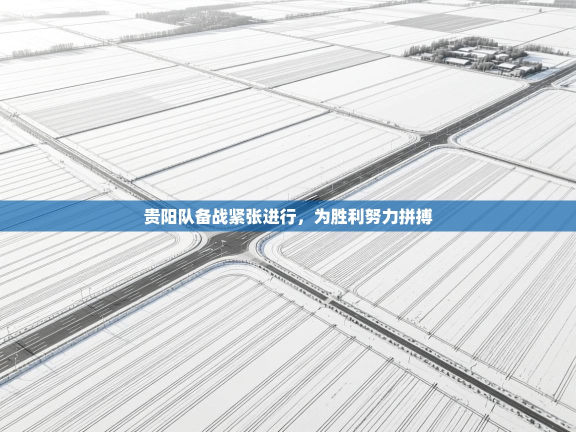 爱游戏体育娱乐马竞赞助商-贵阳队备战紧张进行，为胜利努力拼搏  第4张