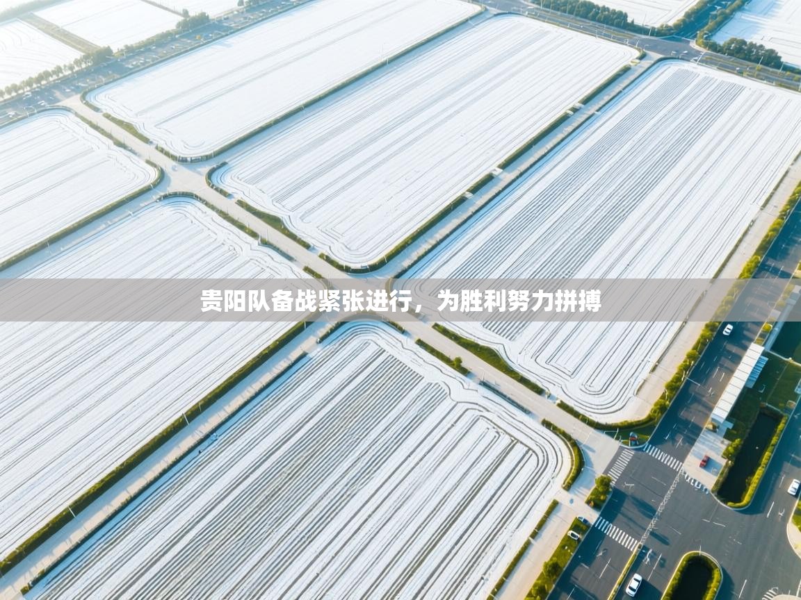 爱游戏体育娱乐马竞赞助商-贵阳队备战紧张进行，为胜利努力拼搏  第3张