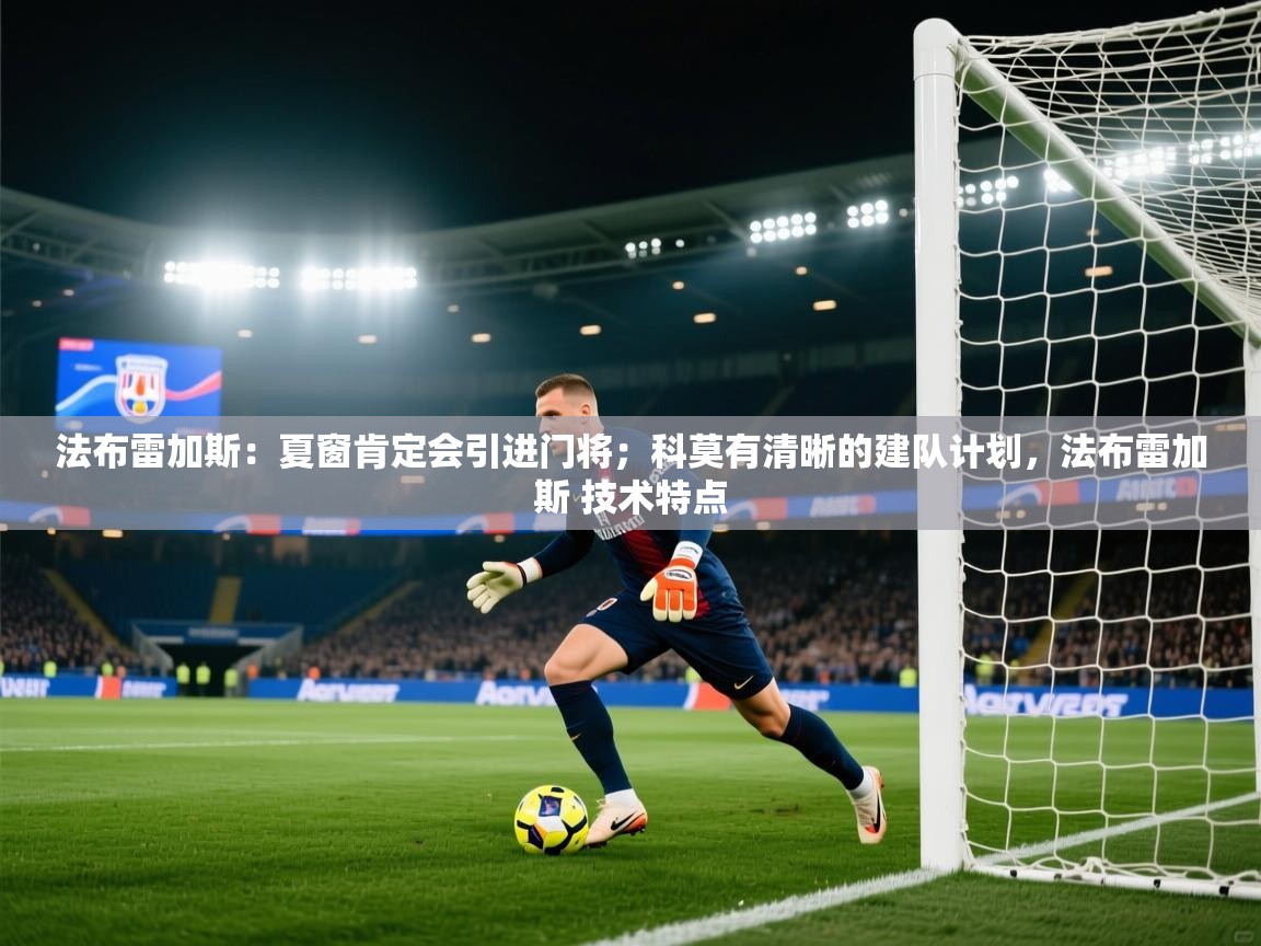 欢娱游戏平台-法布雷加斯:夏窗肯定会引进门将;科莫有清晰的建队计划,法布雷加斯 技术特点 第3张