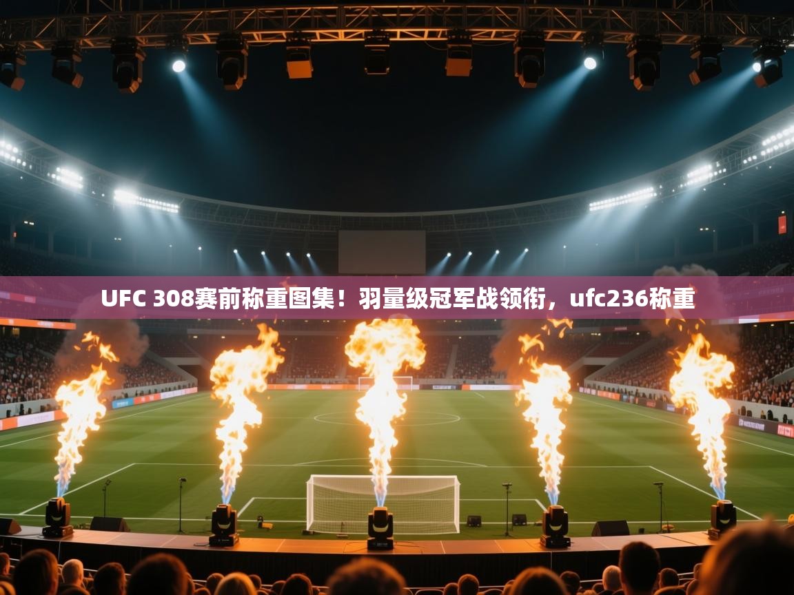 爱游戏娱乐登录-UFC 308赛前称重图集!羽量级冠军战领衔,ufc236称重 第2张