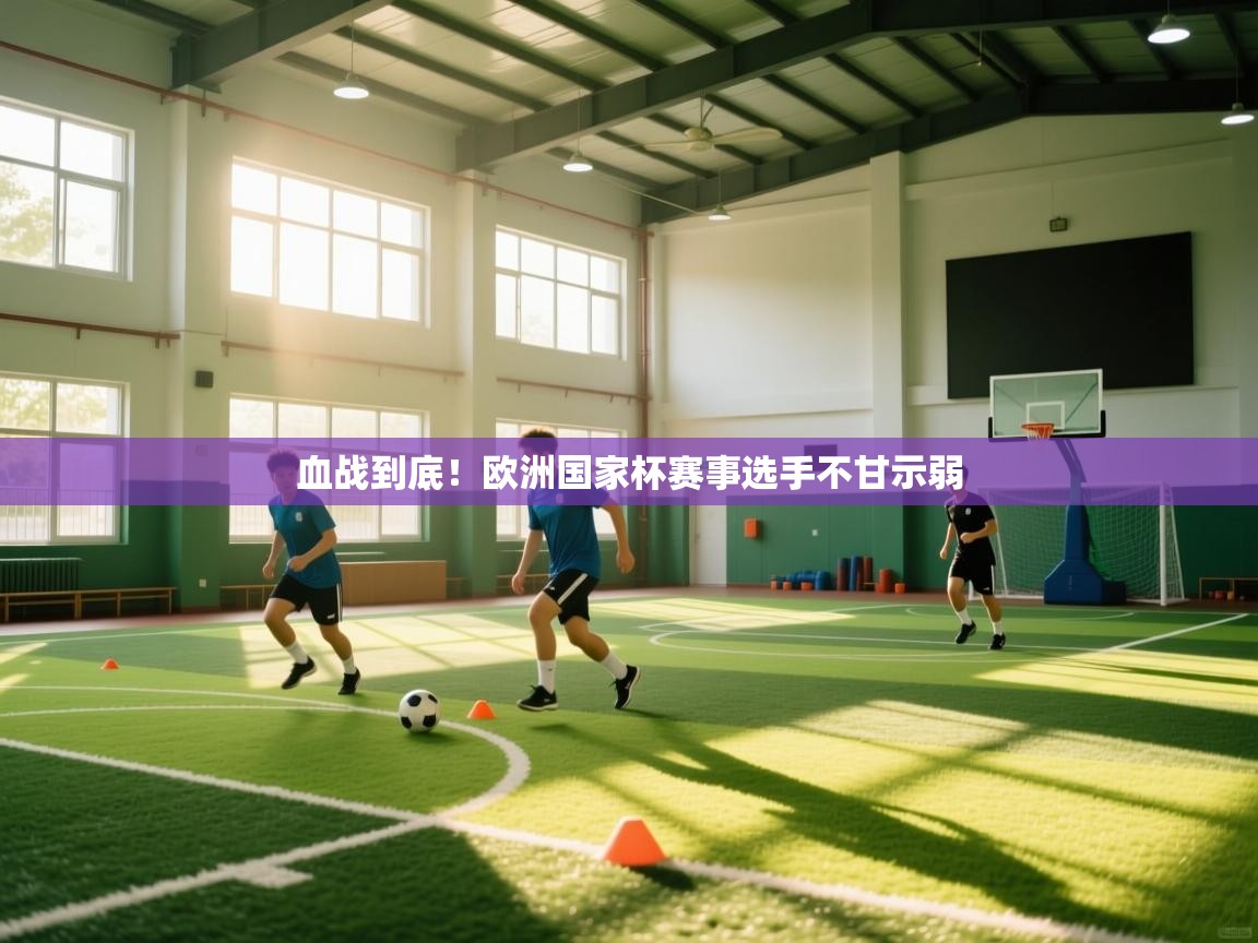 爱游戏平台官网入口-血战到底！欧洲国家杯赛事选手不甘示弱  第2张