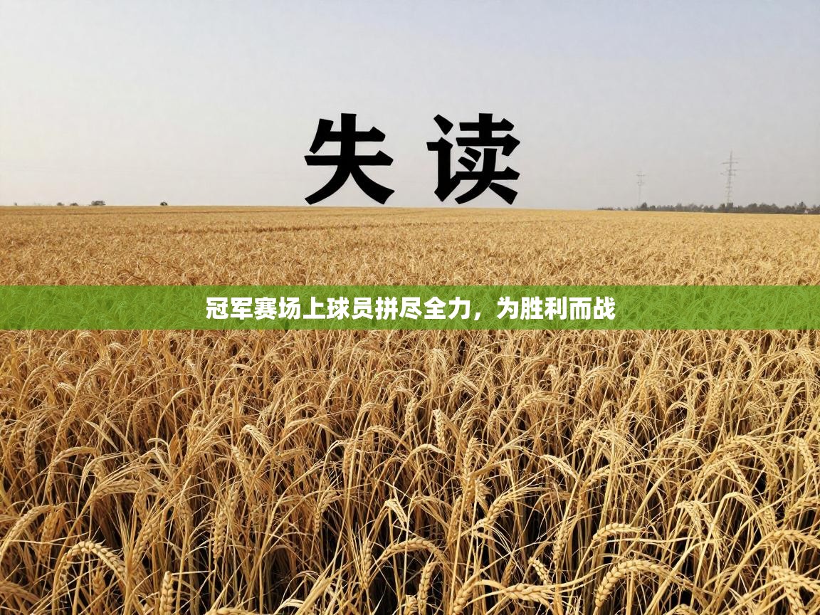 爱游戏体育入口app-冠军赛场上球员拼尽全力，为胜利而战  第3张