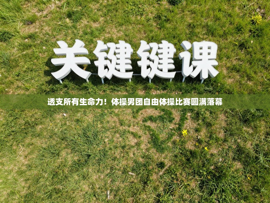 -透支所有生命力！体操男团自由体操比赛圆满落幕  第2张